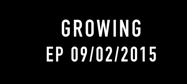 New EP "GROWING" will be out the 9th of February